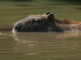 Jak si užít koupání bez rizika_knihovna Jihlava